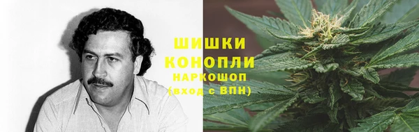 ECSTASY Белокуриха