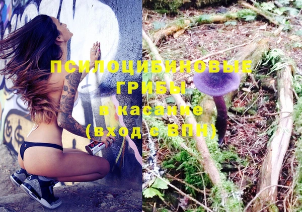 ECSTASY Белокуриха