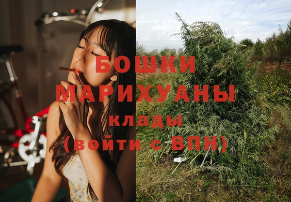ECSTASY Белокуриха
