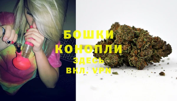 прущая мука Богданович