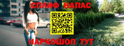 СК Балашиха