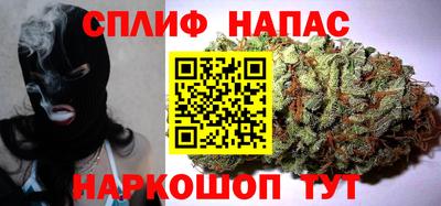 СК Балашиха