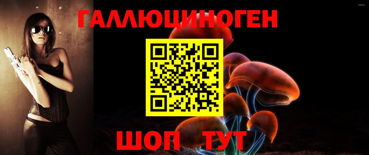 Галлюциногенные грибы Psilocybine cubensis Бугульма